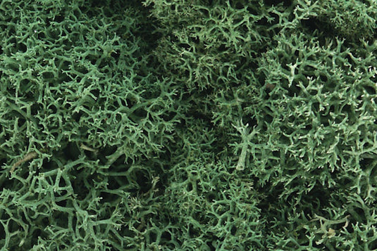 Woodland Scenics Lichen - Light Green